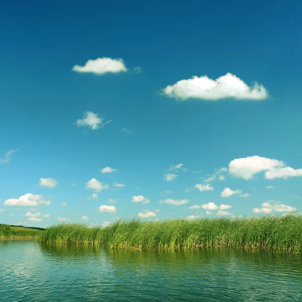 夏の池 - ビンテージ レトロなスタイル — ストック写真