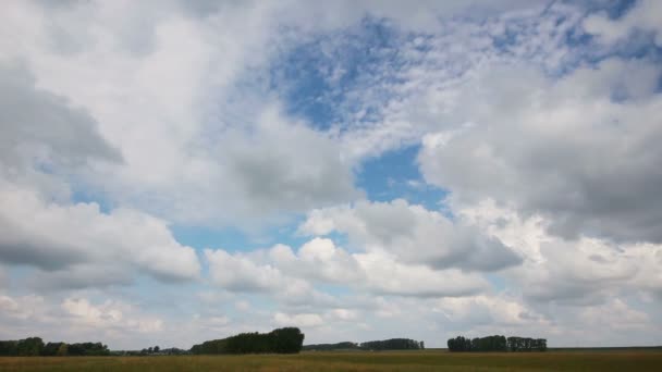 Временной промежуток с облаками, движущимися над полем — стоковое видео