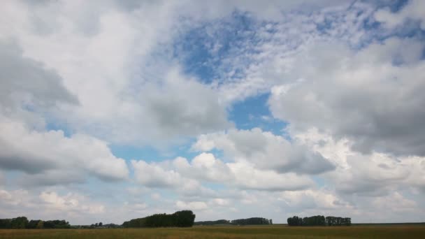 Timelapse avec des nuages se déplaçant sur le champ — Video