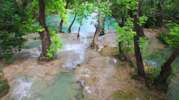 Cascada en el bosque - Kurshunlu Turquía — Vídeos de Stock