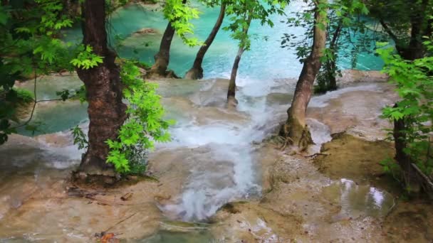 Wasserfall im Wald - Kurshunlu Truthahn — Stockvideo