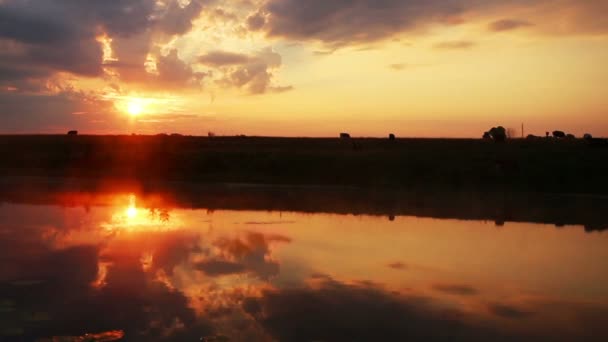 Amanhecer no lago - paisagem — Vídeo de Stock