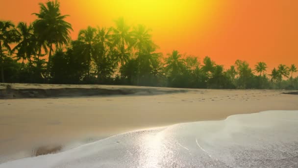 Утренний пейзаж на пляже в Индии — стоковое видео