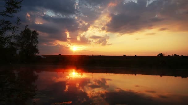 風景 - 湖の夜明け — ストック動画