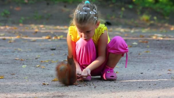 Маленькая девочка кормит белку орехами в парке — стоковое видео