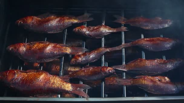 Pescado ahumado en cobertizo — Vídeos de Stock