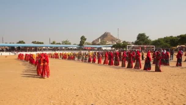 Indian girls in colorful ethnic attire dancing at Pushkar camel fair — Stock Video