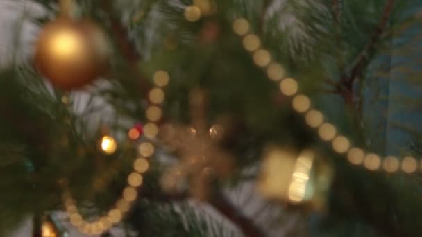 Árbol de Navidad decorado con guirnaldas intermitentes - enfoque cambiante — Vídeos de Stock