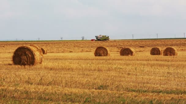 景观与收获成捆的稻草和联合收获机 — 图库视频影像