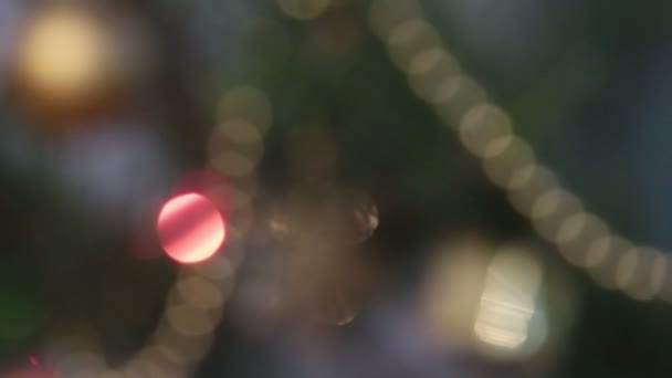 Διακοσμημένο χριστουγεννιάτικο δέντρο με αναβοσβήνει γιρλάντες - αλλαγή εστίασης — Αρχείο Βίντεο