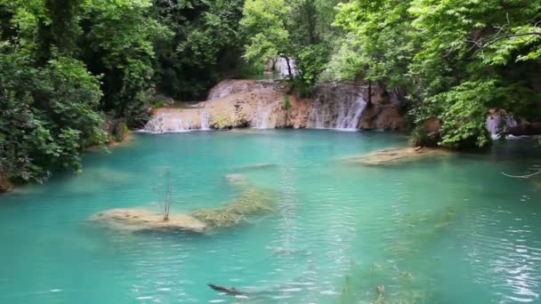 Wasserfall im Wald - Kurshunlu Truthahn — Stockvideo