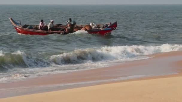 Fischer in Booten ziehen Fischernetze in Allepei — Stockvideo