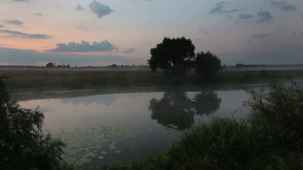 El amanecer en el lago - los círculos en el agua — Vídeos de Stock