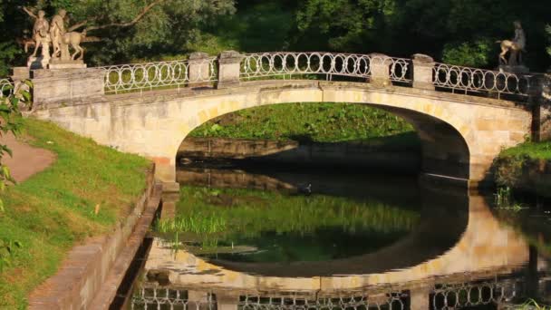 At-adamları köprü pavlovsk park Sankt-petersburg Rusya — Stok video