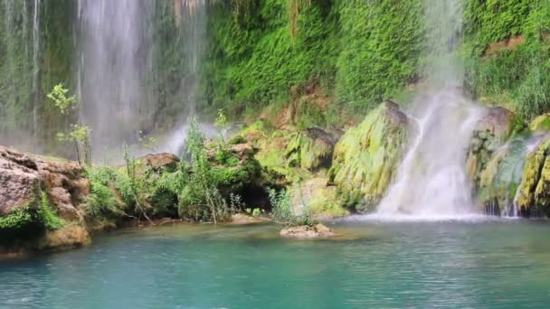 Waterfall in forest close-up — Stock Video