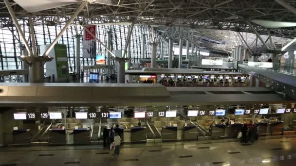Vnukovo airport terminal interior in Moscow — Stock Video