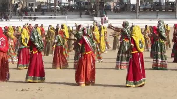 プシュカル ラクダ公正で踊るカラフルな民族衣装でインドの女の子 — ストック動画