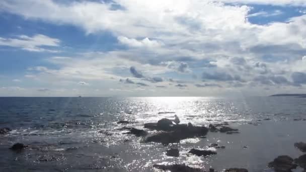 Fiskare med spinning nära havet i solljus - timelapse — Stockvideo