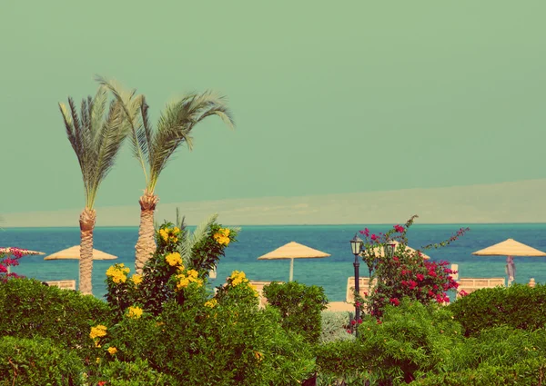 Spiaggia tropicale - stile retrò vintage — Foto Stock