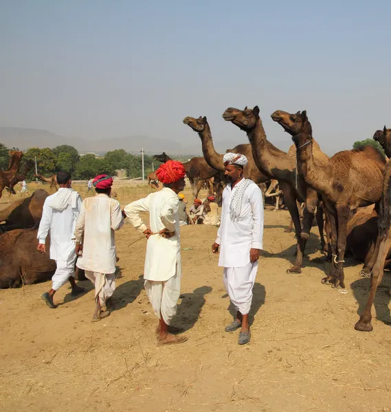 Pushkar Camel Fair - vendedores de camelos durante o festival — Fotografia de Stock