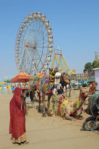 Donna cammelli e ruote panoramiche alla fiera cammello Pushkar — Foto Stock
