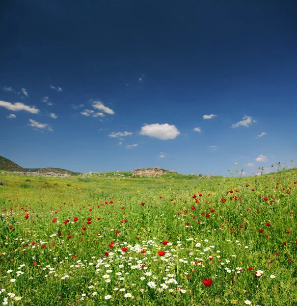 터키에서 산 풍경 봄 — 스톡 사진