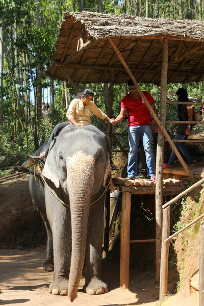 Tourists ride on elephants in the jungle — Stock Photo, Image