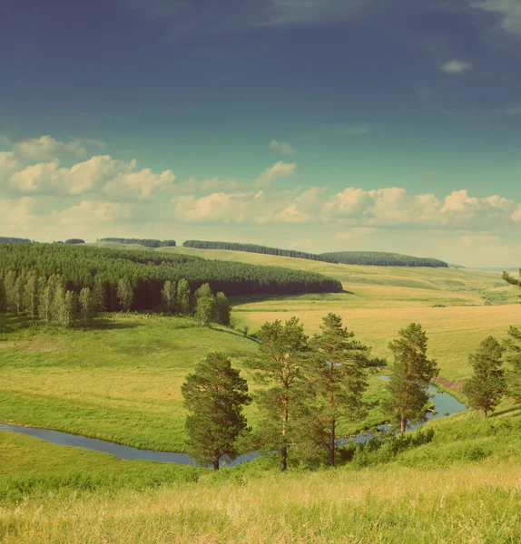 Heuvels zomer landschap - vintage retro stijl — Stockfoto