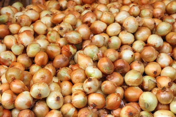 Lot of onions — Stock Photo, Image