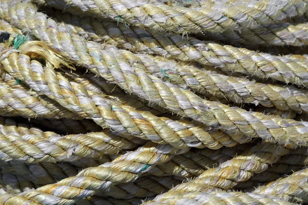 Enseada da corda marinha closeup — Fotografia de Stock