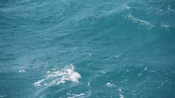 Mořské vlny — Stock video