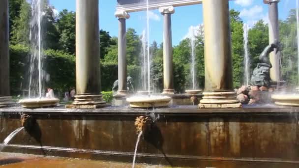 Fontana a cascata di leoni — Video Stock