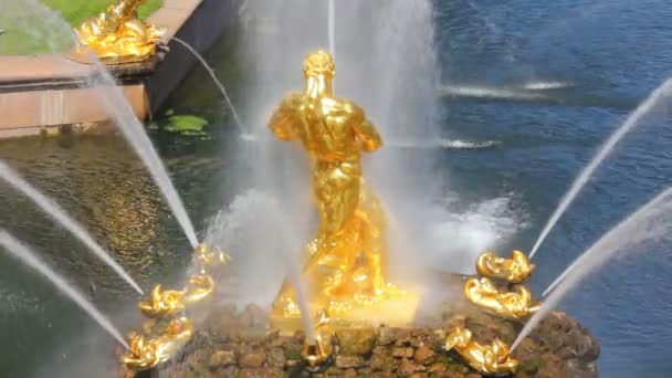 Berühmter petergof samson brunnen — Stockvideo