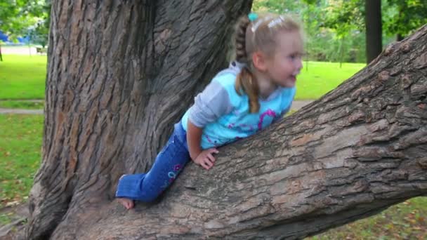 少女は木に登る — ストック動画