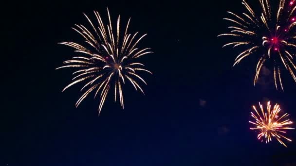 Hermoso espectáculo de fuegos artificiales en el cielo nocturno — Vídeos de Stock