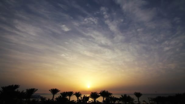Schönheitslandschaft mit Sonnenaufgang über dem Meer — Stockvideo