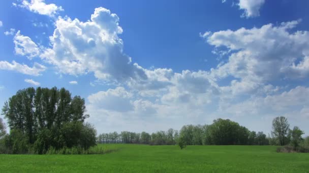 緑の牧草地の上に移動する雲 — ストック動画