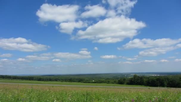 Paisaje de verano con carretera — Vídeos de Stock