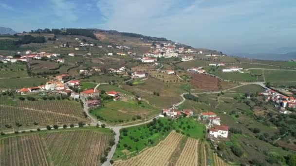 Vista Aérea Aldeia Das Vinhas Socalcos Vale Douro Portugal — Vídeo de Stock