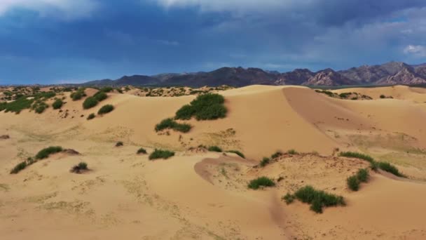 Widok Lotu Ptaka Wydmy Elsen Tasarhai Bayan Gobi Mongolii — Wideo stockowe