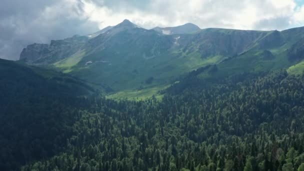 Yazın Oshten Dağı Yakınlarında Adygea Kafkasya Dağları — Stok video
