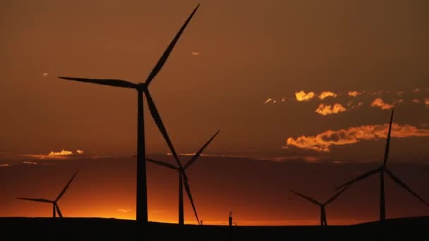 Windmühlen oder Windräder im Sonnenaufgangslicht — Stockvideo