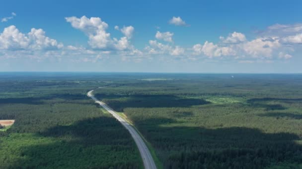 Ormandaki kır yolu üzerindeki hava manzarası — Stok video