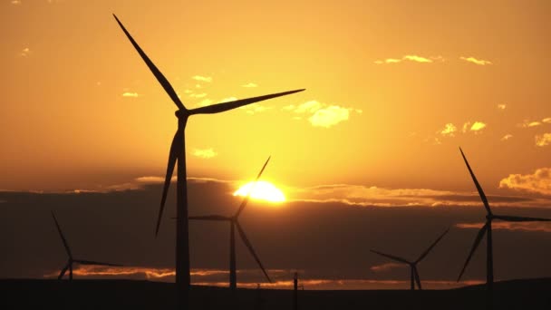 Molinos de viento o turbina eólica a la luz del amanecer — Vídeos de Stock