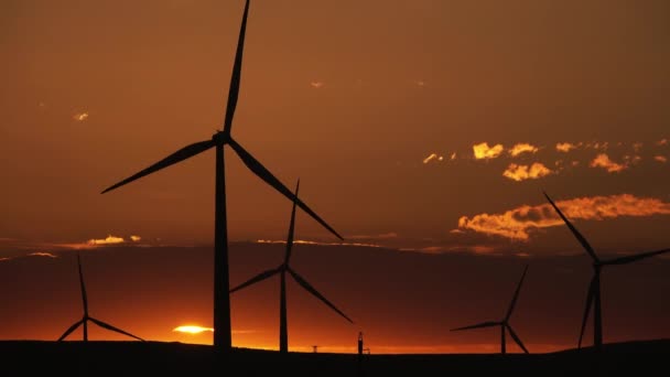 Molinos de viento o turbina eólica a la luz del amanecer — Vídeos de Stock