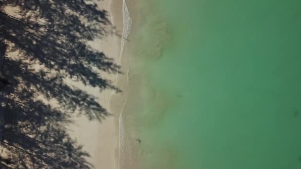 Plage déserte avec ombres — Video