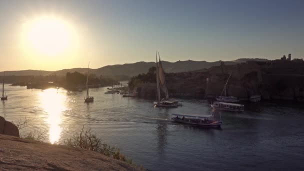 Felucca lodě na řece Nil v Aswanu při západu slunce — Stock video