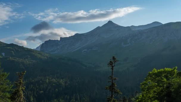 Pinos en las montañas al atardecer — Vídeos de Stock