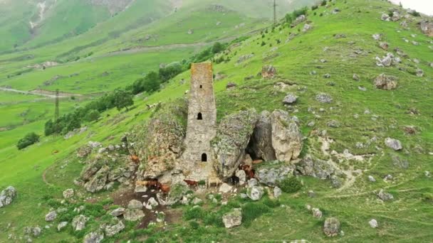 산 속에 있는 중세의 탑 복합 건물 — 비디오