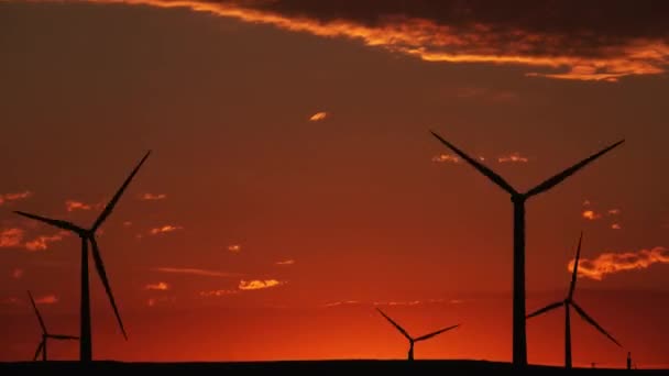 Molinos de viento o turbina eólica a la luz del amanecer — Vídeos de Stock